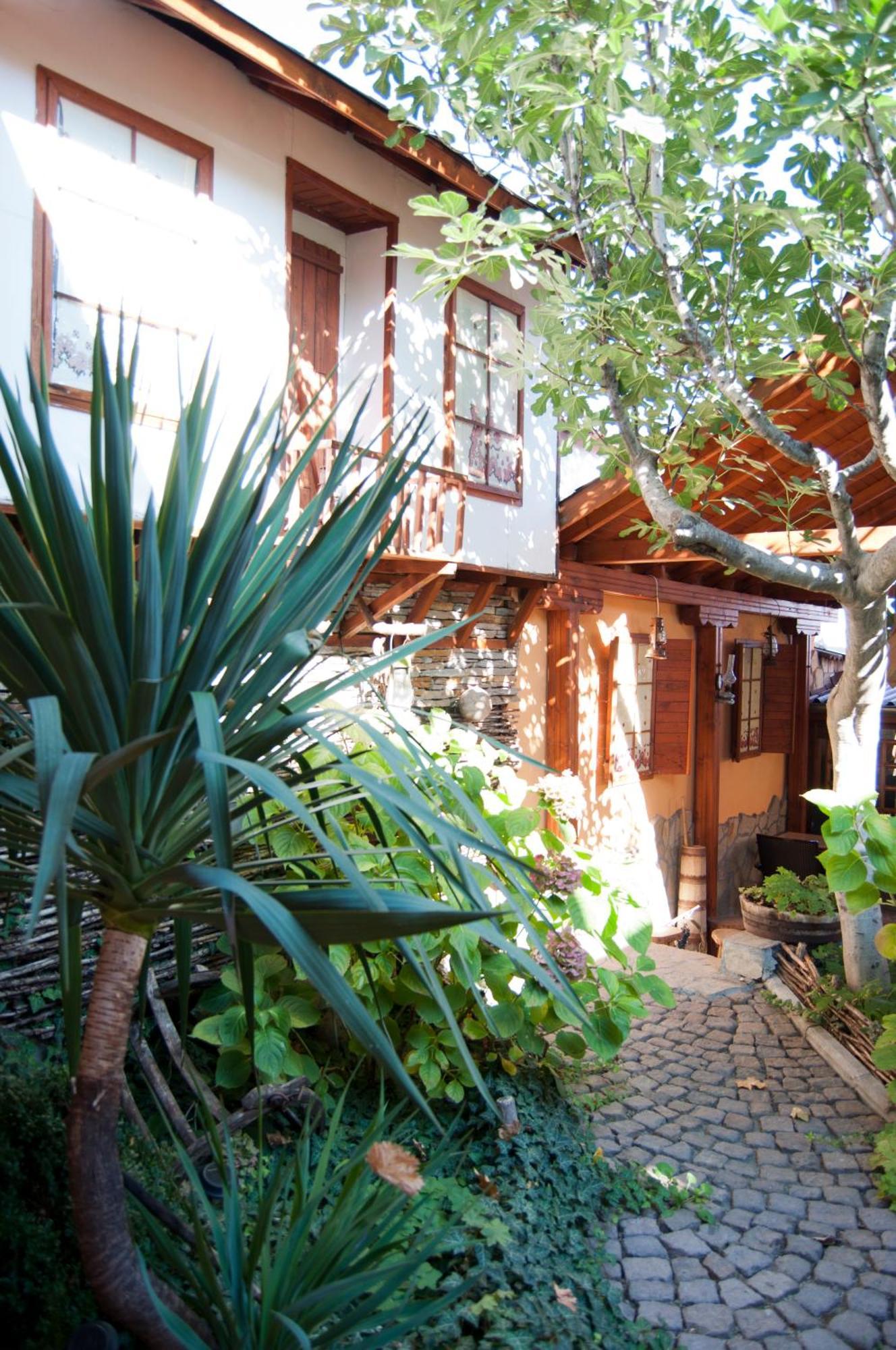 Family Hotel Ogi أسينوفغراد المظهر الخارجي الصورة